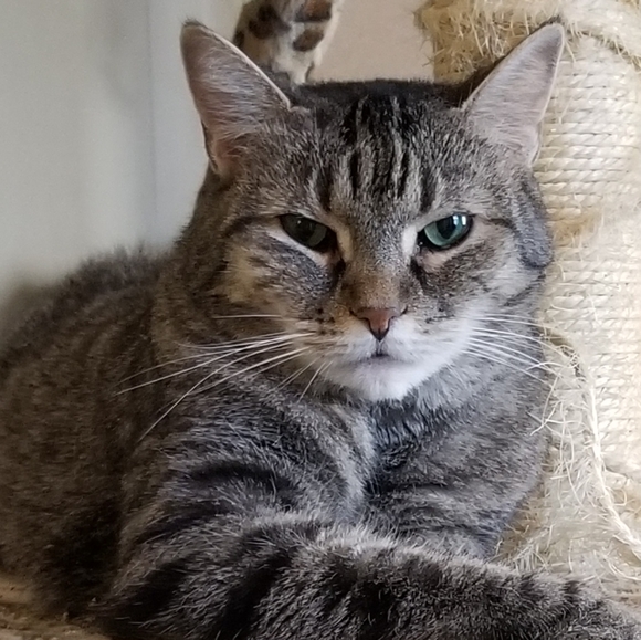 Meet Your Poshers, Gina and Keke! - Picture 10 of 11